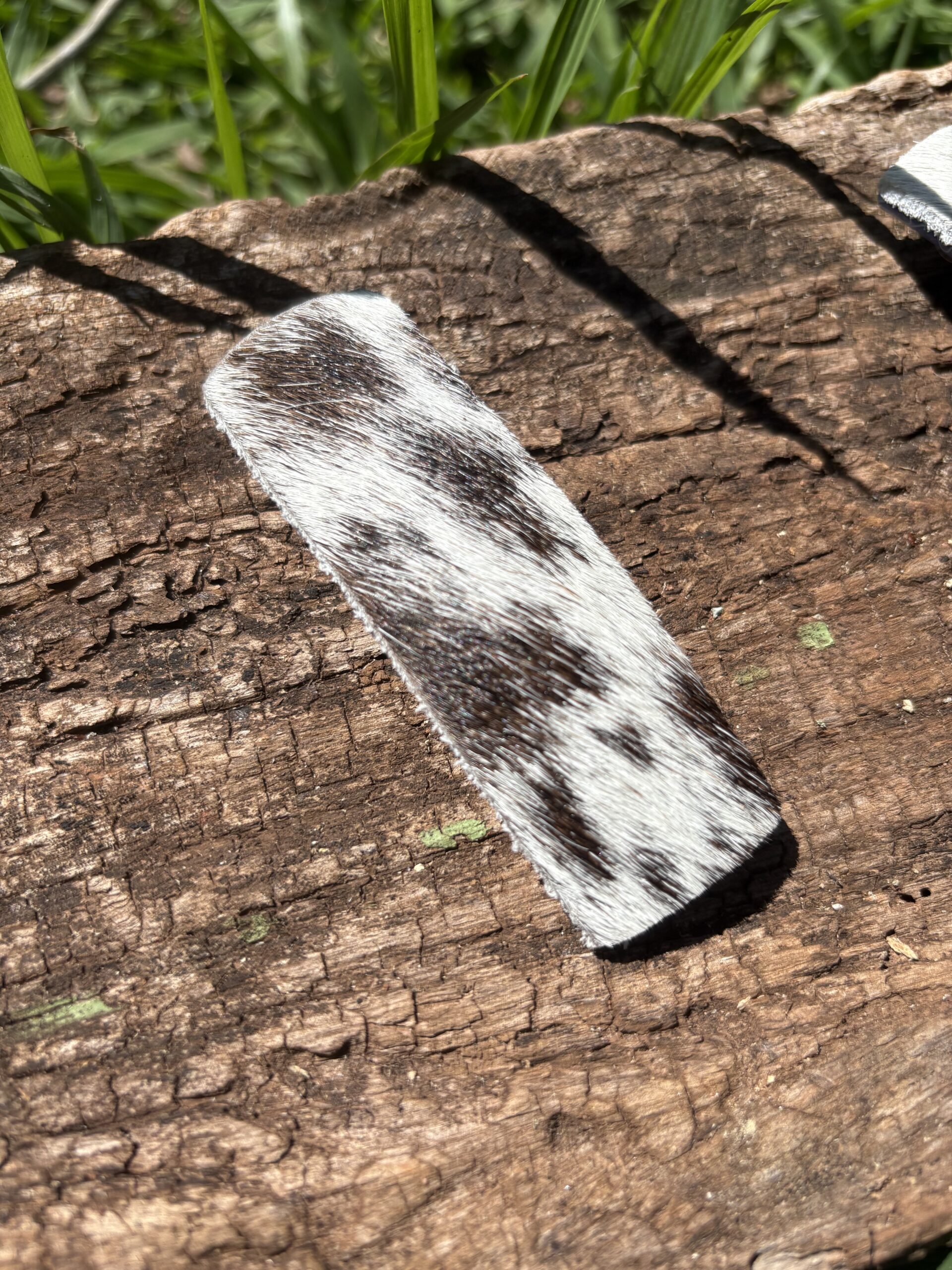 Presilha de Cabelo - Imagem 9